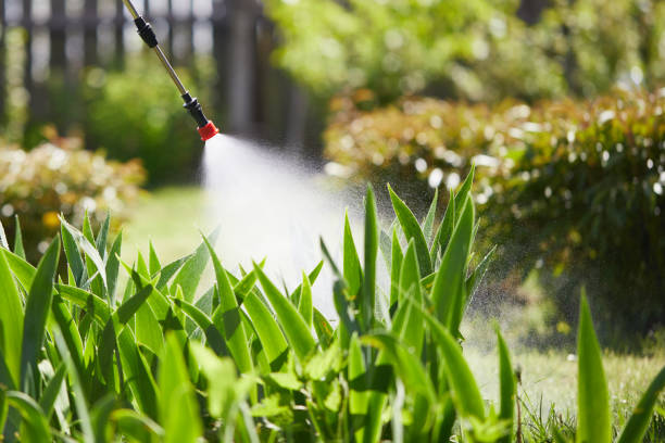 24/7 Emergency Fumigation Services experts in Kankakee, IL